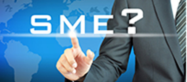 What is slowing the growth of the sme sector?  See the survey results here