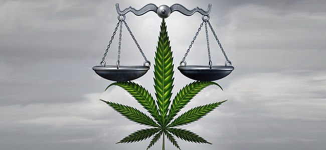 Dagga – Just How Legal is it Now?  
