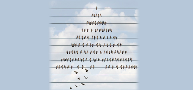 Pyramid Schemes: Easy To Fall For, And Even Early Birds Lose The Worm