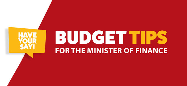 Budget 2025: The Minister of Finance Wants to Hear from You! 